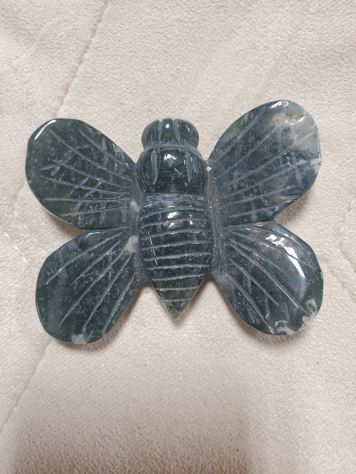 Moss agate bee